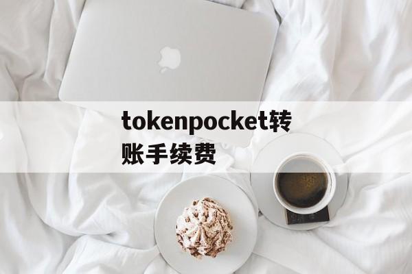 tokenpocket转账手续费,tokenpocket可以提现人民币吗