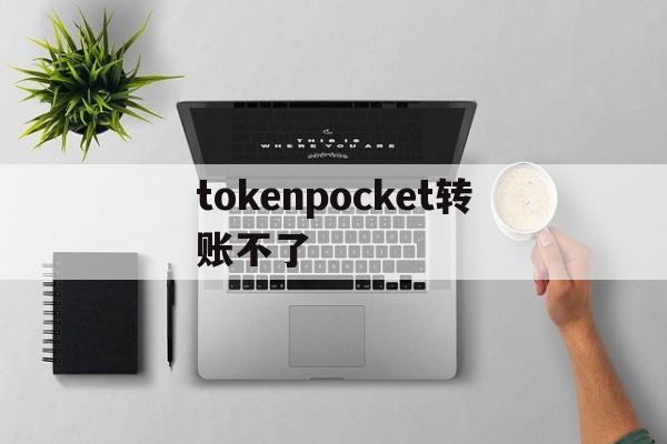 tokenpocket转账不了,tokenpocket钱包转账没成功如何取消